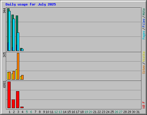 Daily usage for July 2025