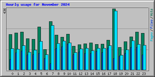 Hourly usage for November 2024