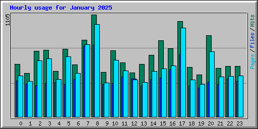 Hourly usage for January 2025