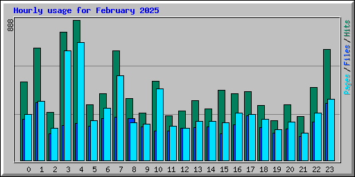 Hourly usage for February 2025