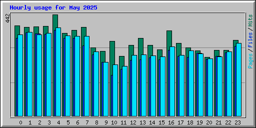 Hourly usage for May 2025