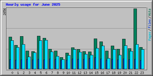 Hourly usage for June 2025