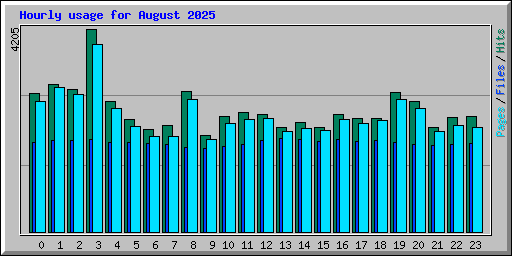 Hourly usage for August 2025