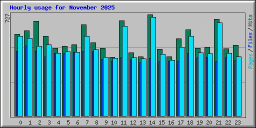 Hourly usage for November 2025