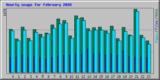 Hourly usage for February 2026