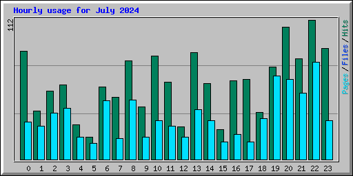 Hourly usage for July 2024