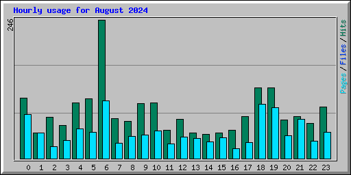 Hourly usage for August 2024