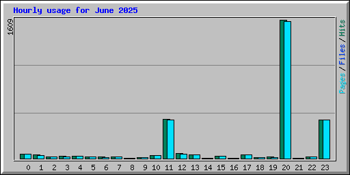 Hourly usage for June 2025