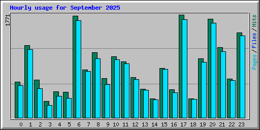 Hourly usage for September 2025