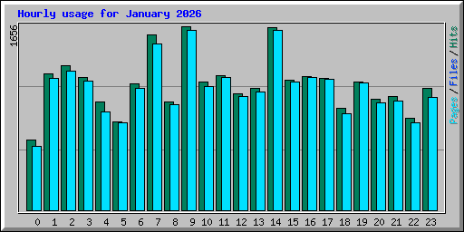Hourly usage for January 2026