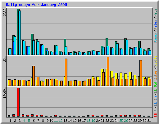 Daily usage for January 2025