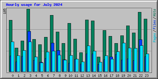 Hourly usage for July 2024