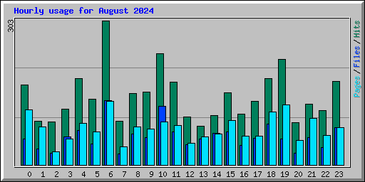 Hourly usage for August 2024