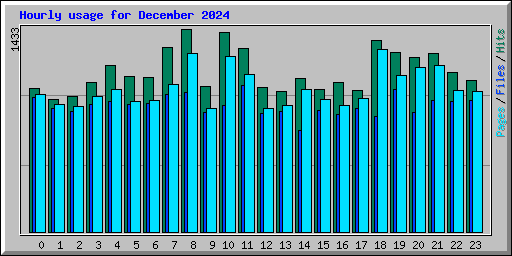 Hourly usage for December 2024