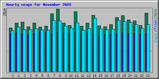 Hourly usage for November 2025