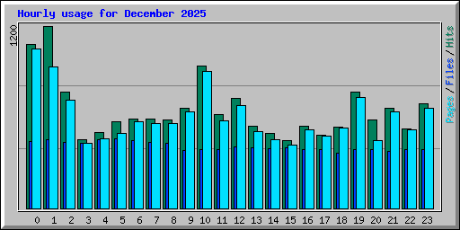 Hourly usage for December 2025