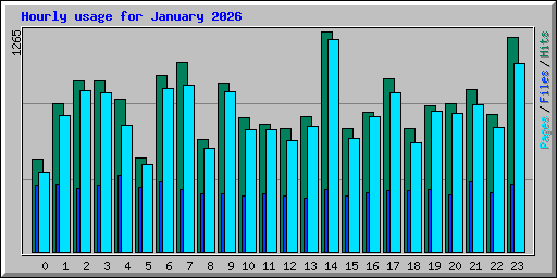 Hourly usage for January 2026