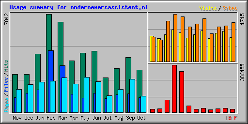 Usage summary for ondernemersassistent.nl