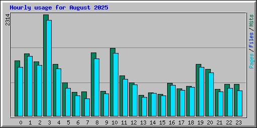 Hourly usage for August 2025