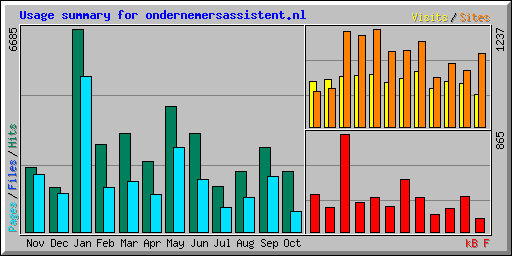 Usage summary for ondernemersassistent.nl